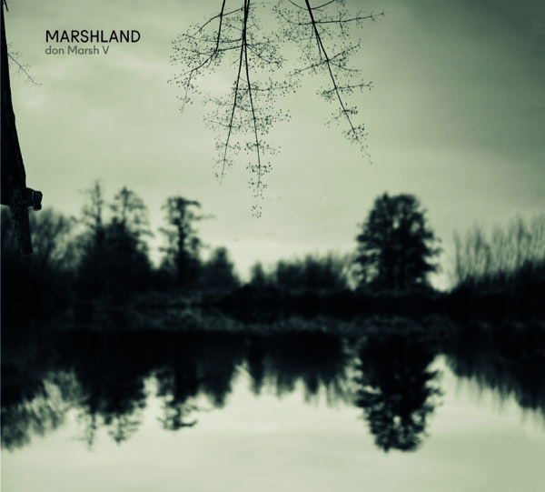 Cover of Marshland by don Marsh V